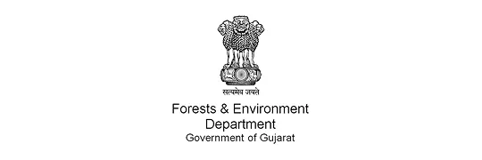 Media publication