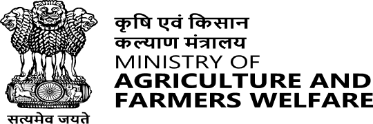 Media publication