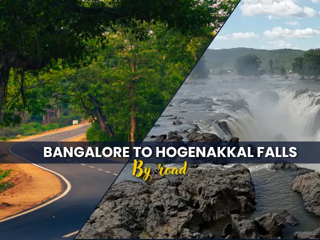 hogenakkal falls trip from bangalore bangalore to hogenakkal falls