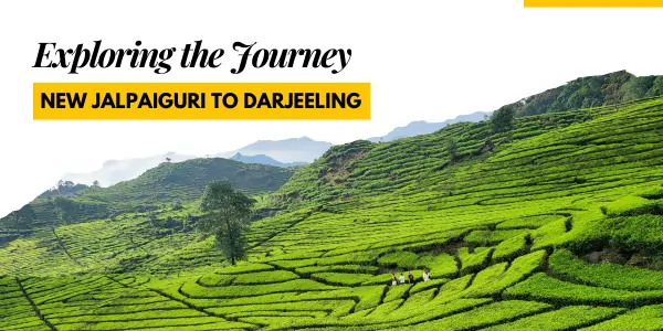 New Jalpaiguri to Darjeeling trip image