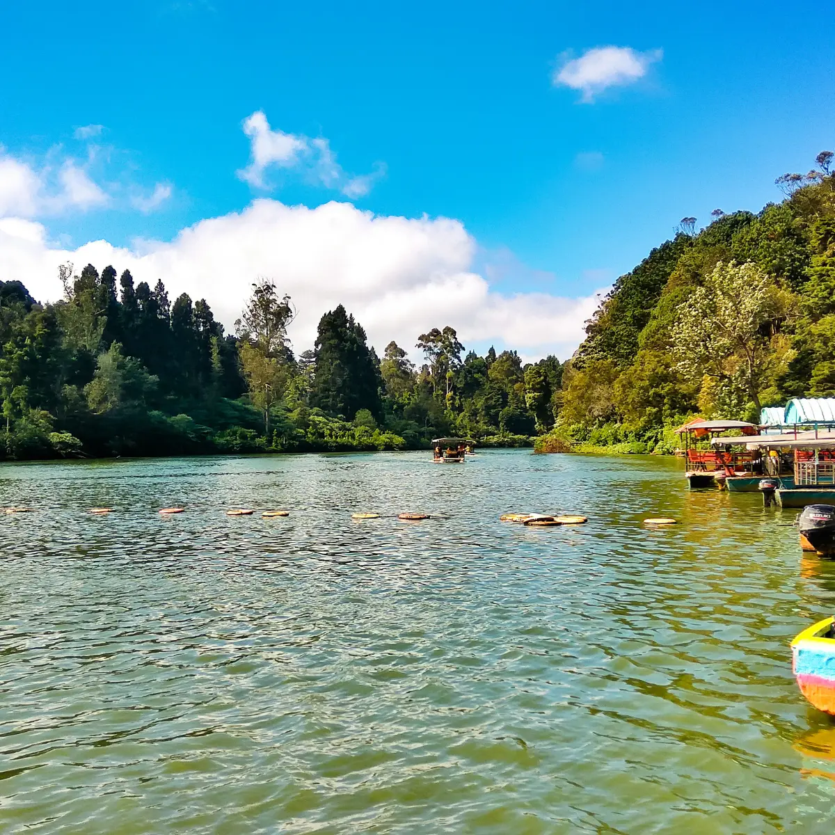 Ooty Sightseeing Cab