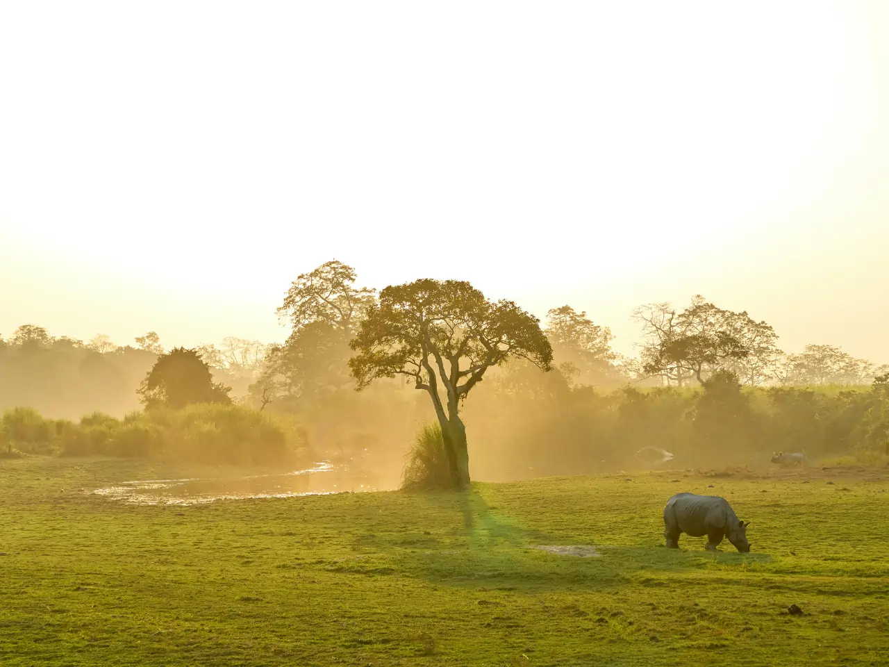 Bandhavgarh Taxi Service image