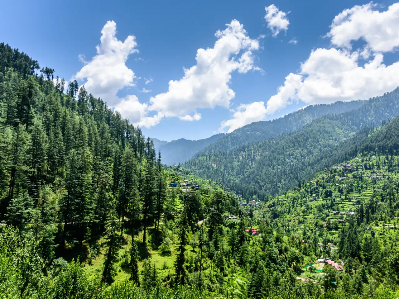 Naldehra Taxi Service image