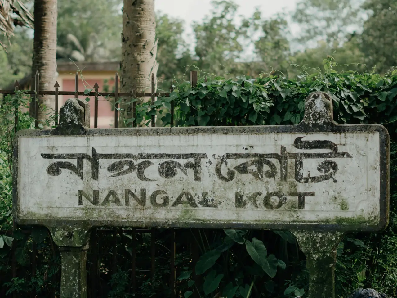 Nangal Taxi Service image