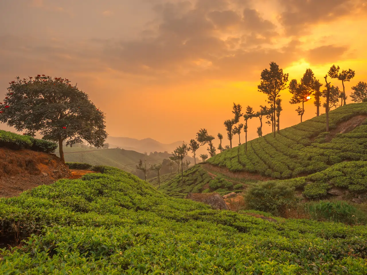 Vagamon Taxi Service image