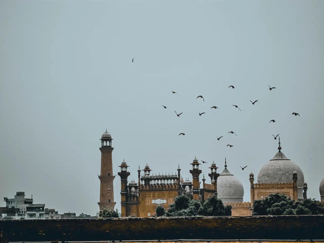 Explore Faridkot Taxi Services in Faridkot