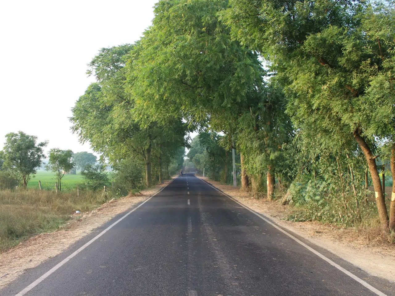Fatehabad Taxi Service