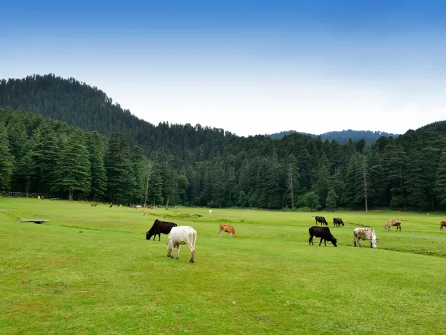 Cab Service in Khajjiar