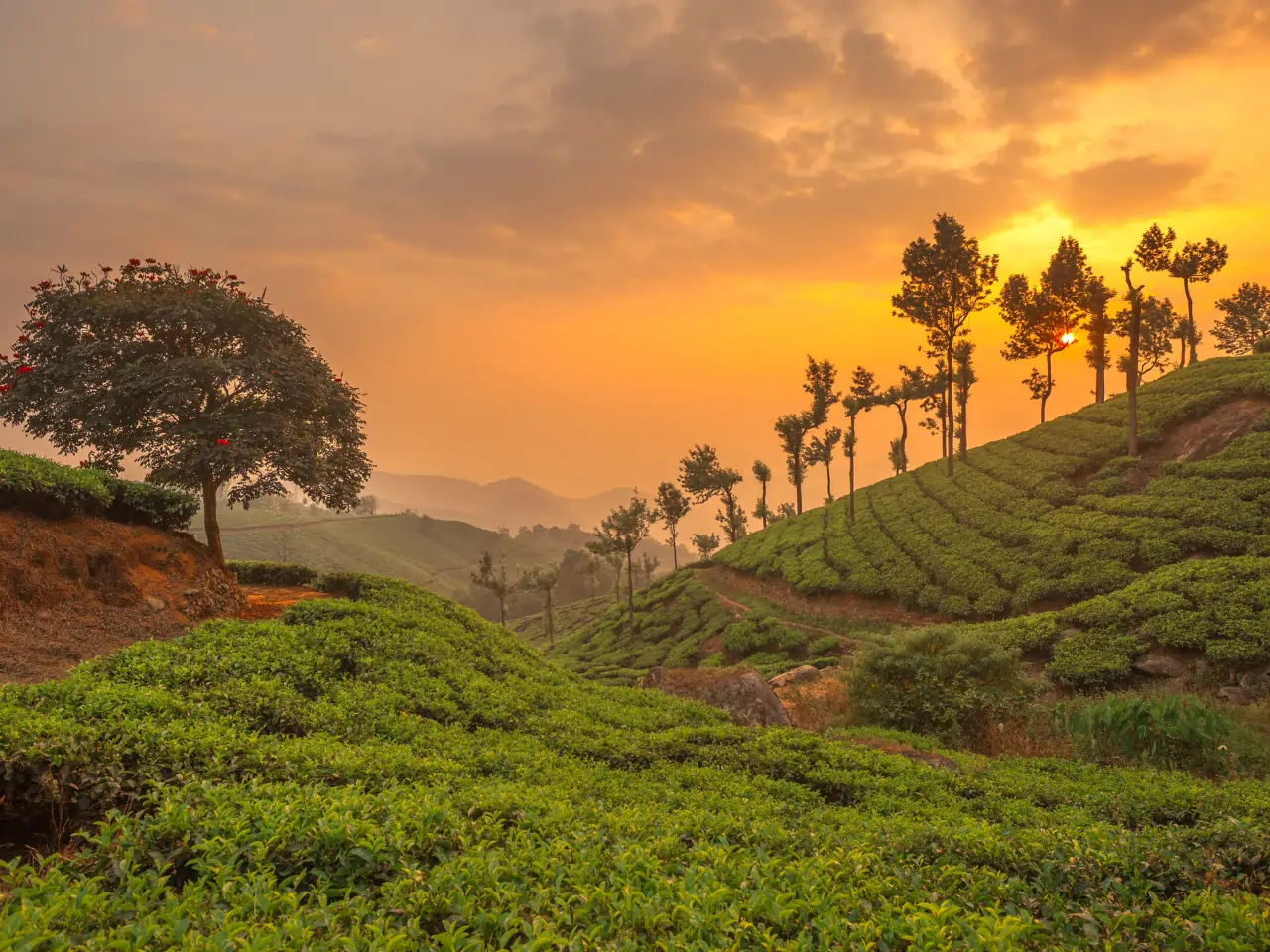 Cab Service in Wayanad