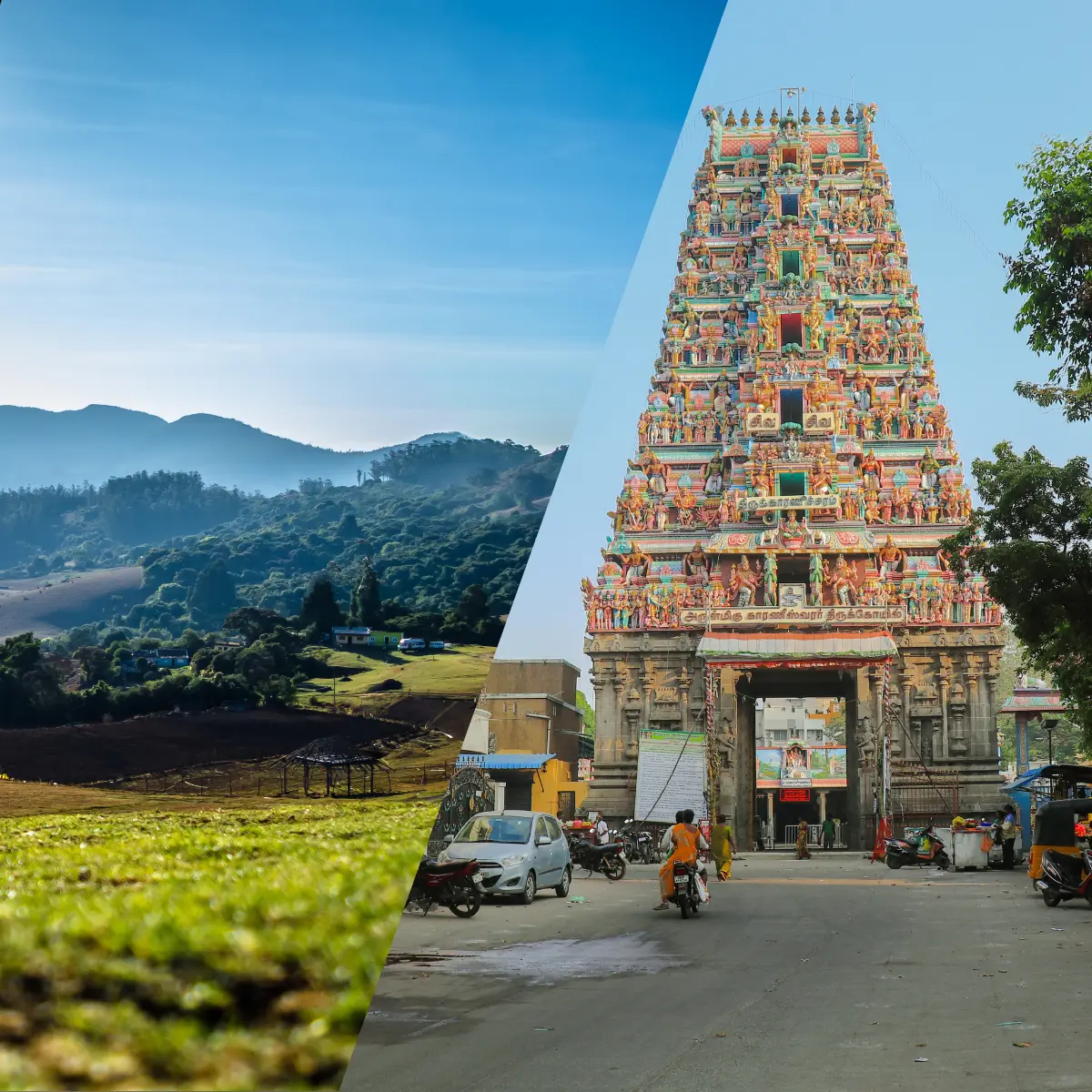 Book Chennai to Ooty Cab Service