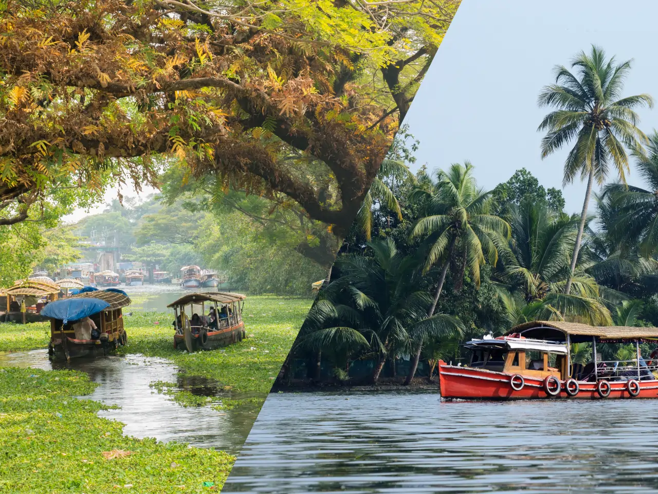 Alleppey to Thekkady image