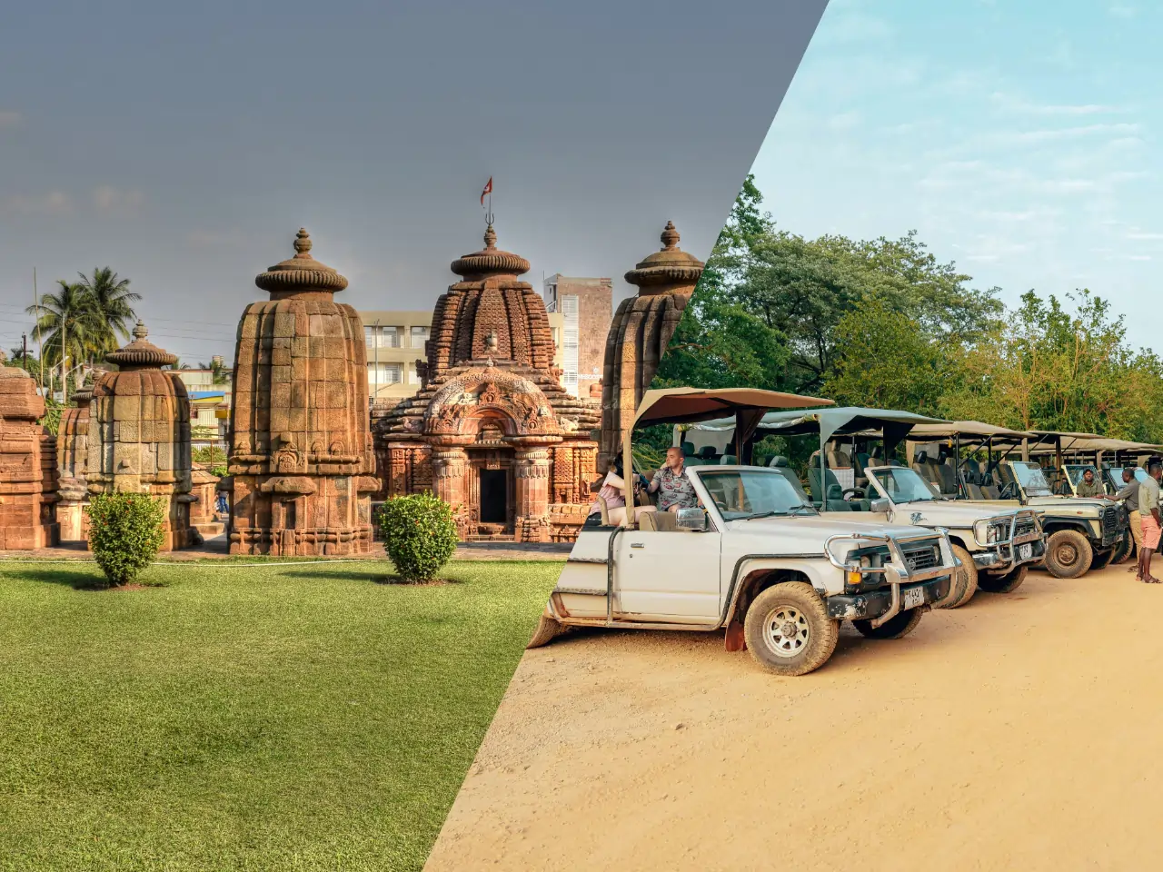 Bhubaneswar to Bhitarkanika Taxi service Bhubaneswar to Bhitarkanika