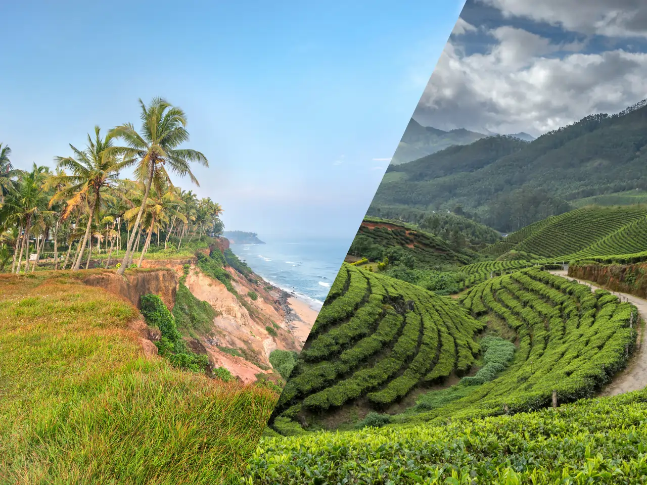 Cab From Ernakulam to Munnar Ernakulam to Munnar Cab Service