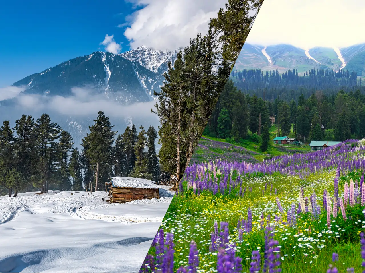 Jammu to Pahalgam Taxi Service