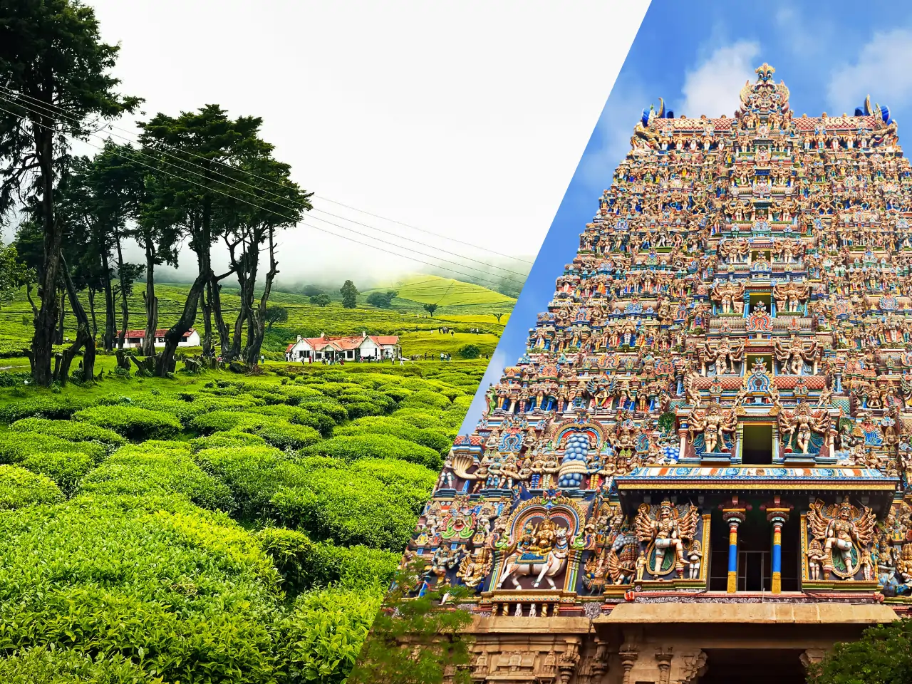 Kodaikanal to Madurai image