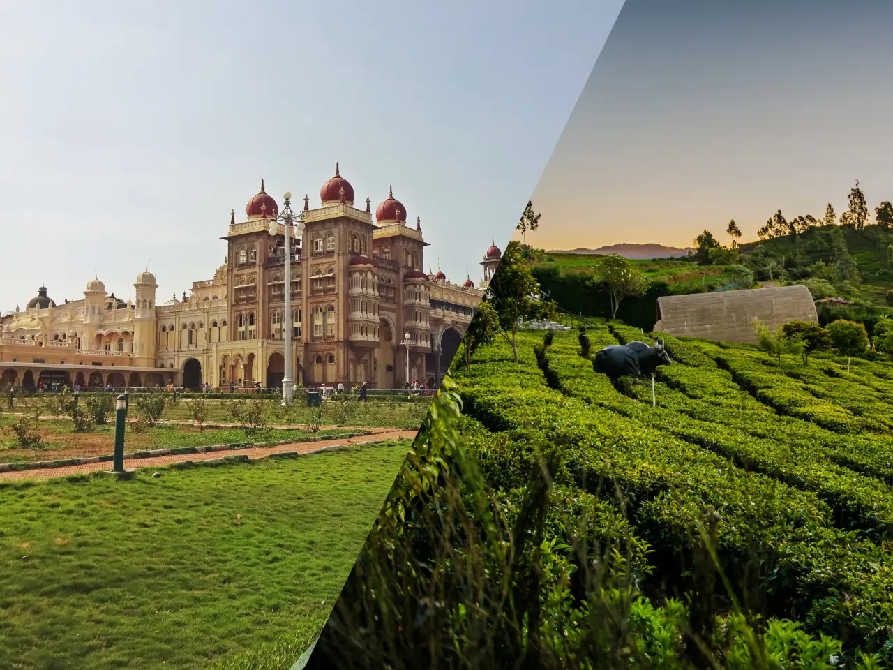 Mysore to Ooty Cab Service