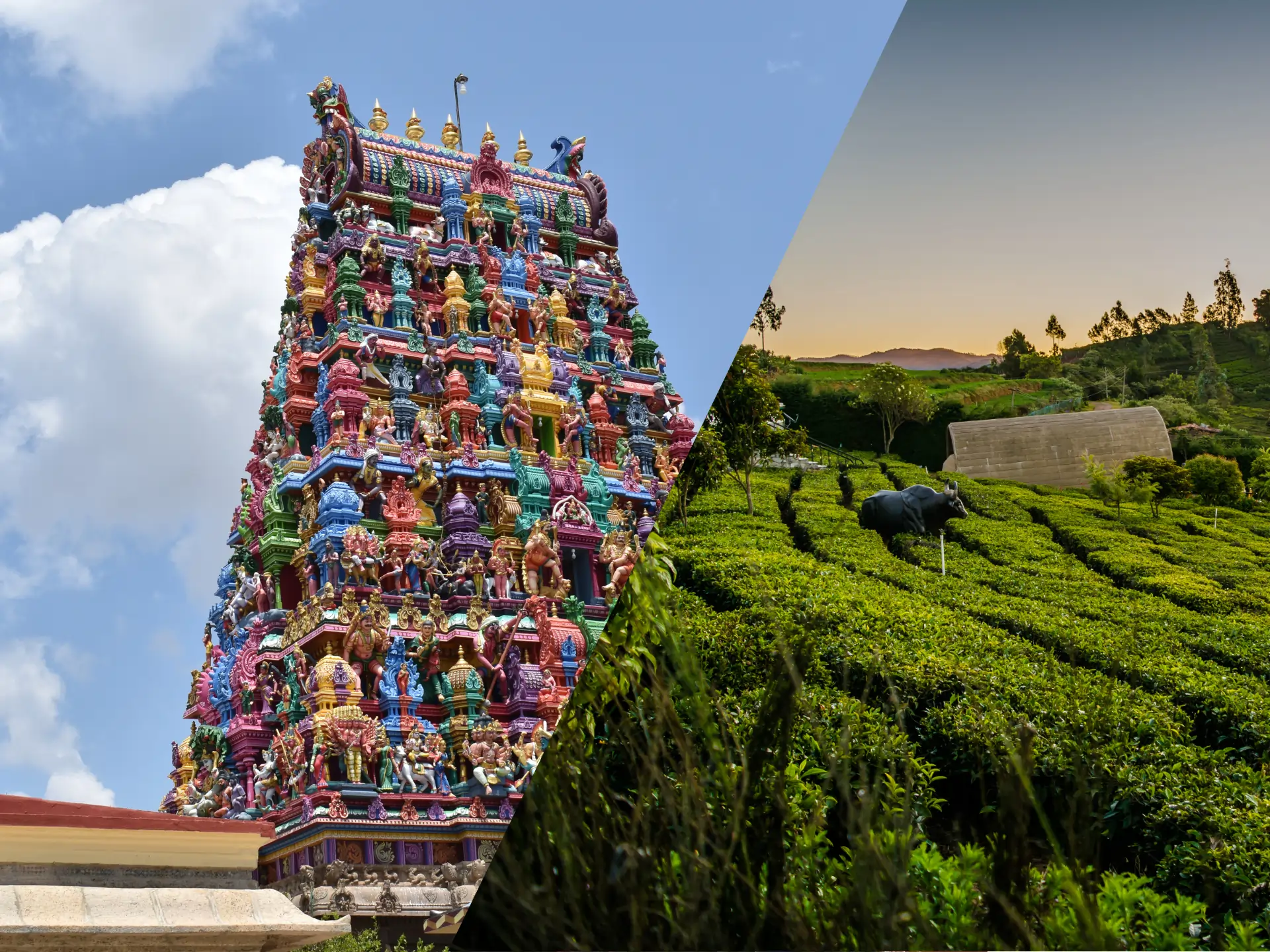 Omalur to Coimbatore taxi booking image