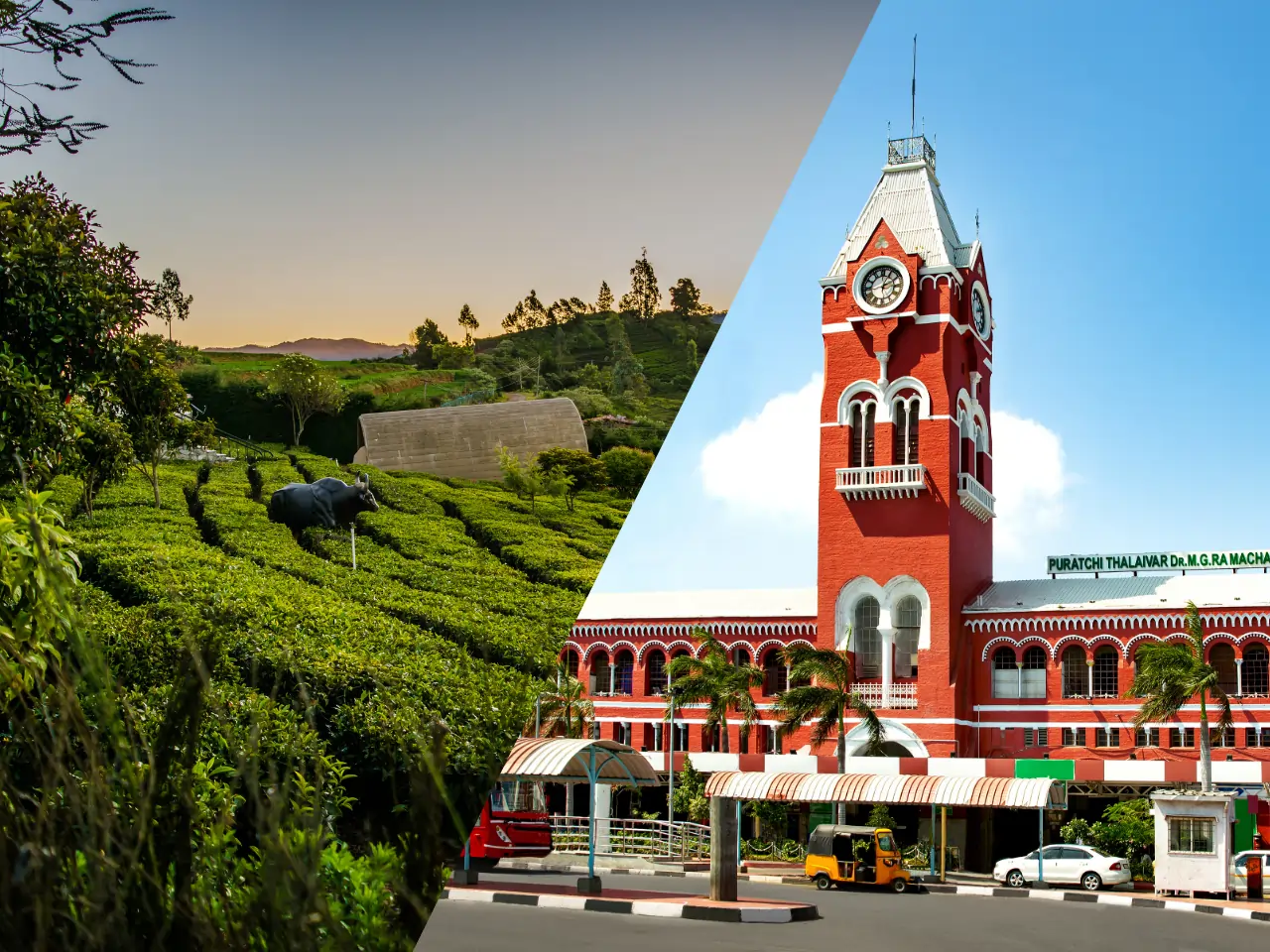 Ooty to Chennai image