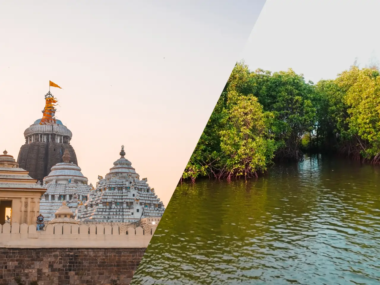 Puri to Bhitarkanika