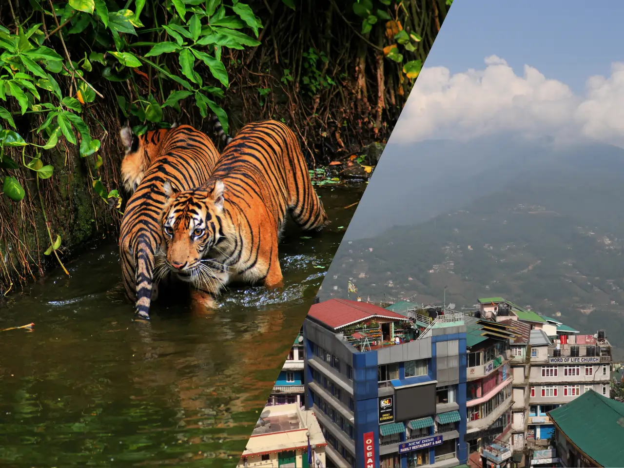 Siliguri to Gangtok image
