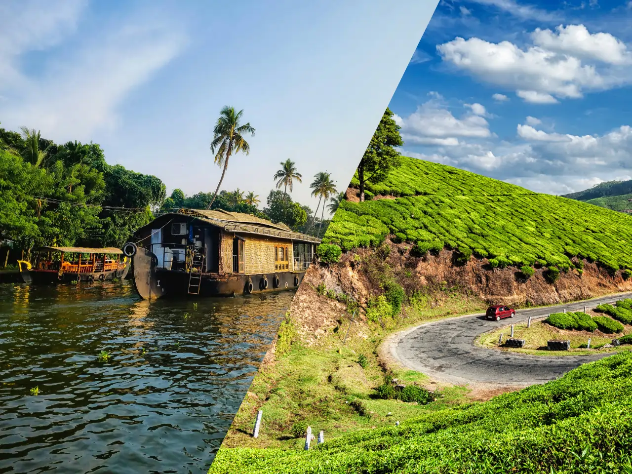 Thekkady to Munnar image