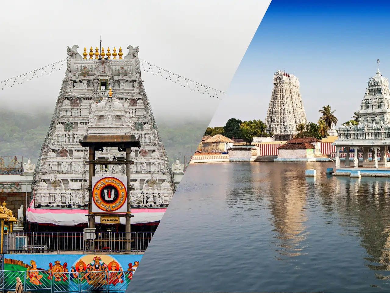 Tirupati to Vellore image