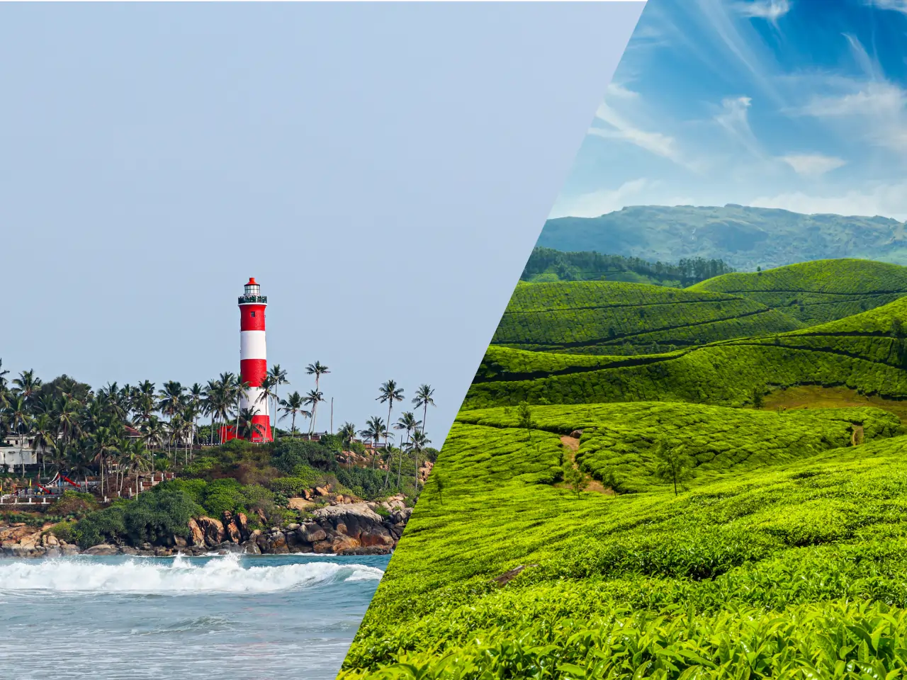 Trivandrum to Munnar image
